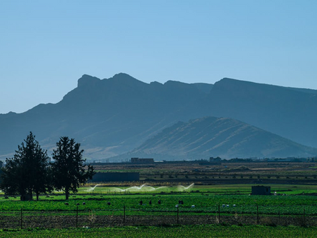 Photo of the Week