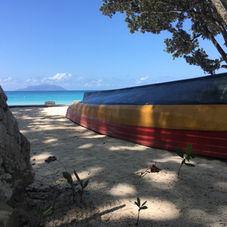 Seychellois Paradise