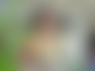 Hawaiian Artists on the Rise