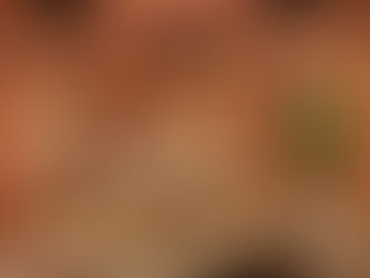 Rulers of the Subcontinent: The Rise, Rule, and Legacy of the Delhi Sultanate