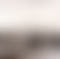 Native American Military History