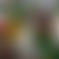 Bangladesh: Between monsoon and dry season