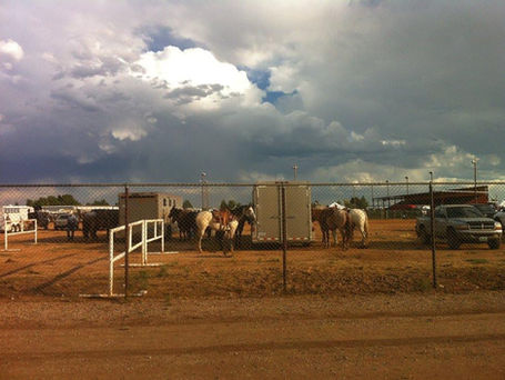 Behind the Chute: Canter