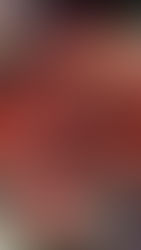 Hawaiian Squirrelfish Puzzle