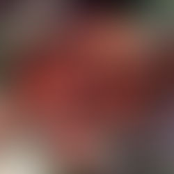 Hawaiian Squirrelfish Puzzle