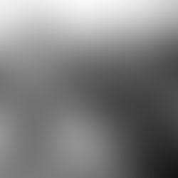 Combat Cuisine of WWII