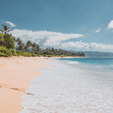 La Filosofia dell'Aloha Hawaiano
