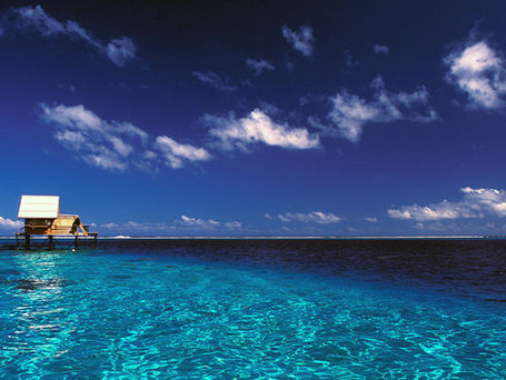 Aquaculture in French Polynesia