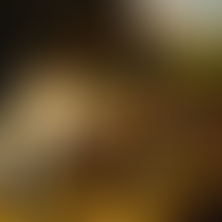 Alexander von Humboldt Digital Center for Cartology