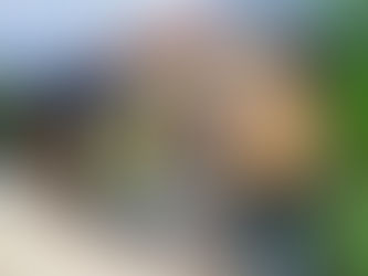 The Plaza Walls of Downtown Oklahoma City