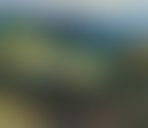 Gallery of Hawaiian Art