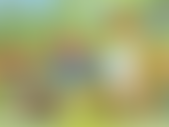 Seychellois Art of George Camille