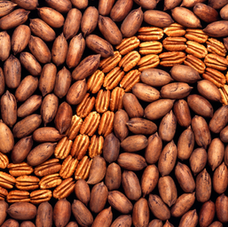 Cracking the Shell: The Story of Oklahoma's Indigenous Ingredients