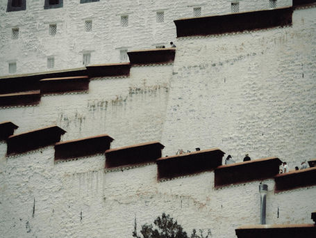 Photo of the Week