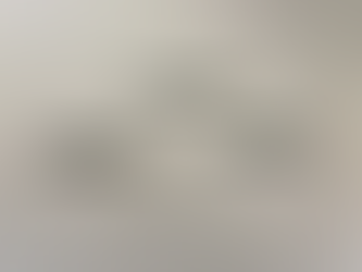 Art for People Who Put Rocks in Their Pockets