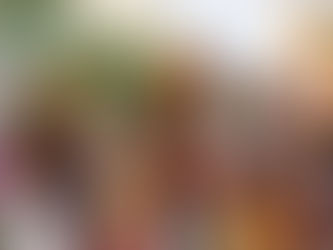 World Languages Quiz