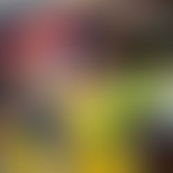 Grand Gala Parade; Limón, Costa Rica Puzzle