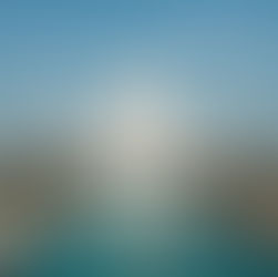 From the President: Bridging Cultures, Connecting Generations