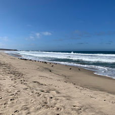 Pescadero State Beach