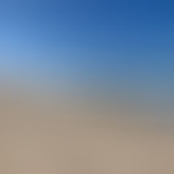 Pescadero State Beach