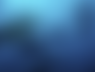 Silent Shadows: A Cinematic Journey with Sharks