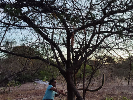 Território Fulni-ô, Águas Belas, Pernambuco, Brasil. Março de 2023