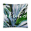 Thumbnail: Blue Ti "Aloha" Throw Pillow w/ Inserts