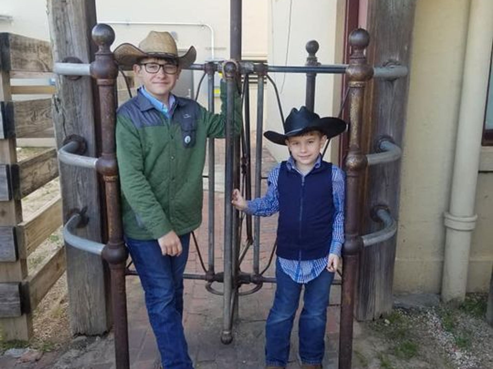 McCoy Cattle Farms photo 5