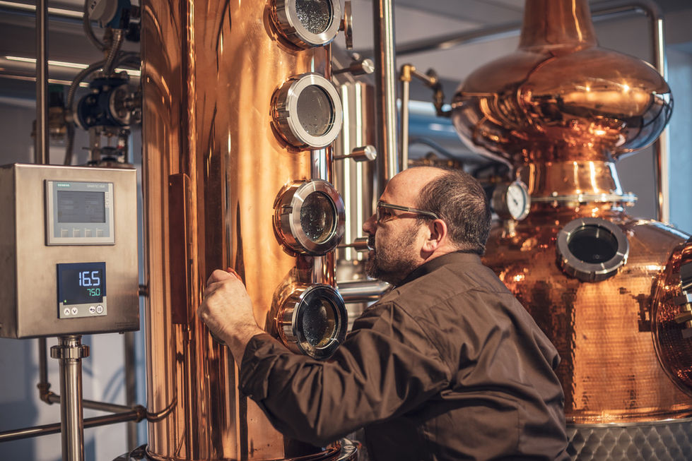 Macardo_Distillery_18