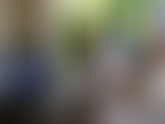 Ambassadors hold a dialog on German-French Friendship