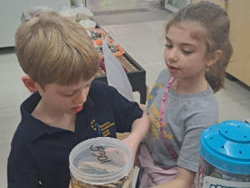 Grade 2 Community Walk: Learning Comes to Life