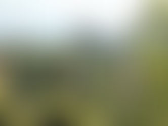 Secondary Retreat 2025: A Journey of Teamwork, Courage, and Lasting Memories