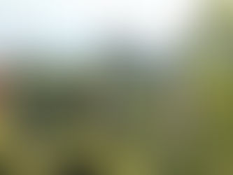 Secondary Retreat 2025: A Journey of Teamwork, Courage, and Lasting Memories