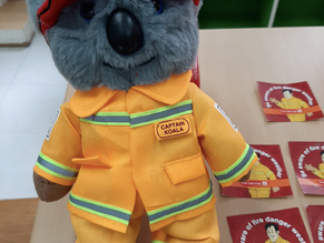 Captain Koala arrives from Australia