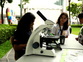 Entering the Microcosm