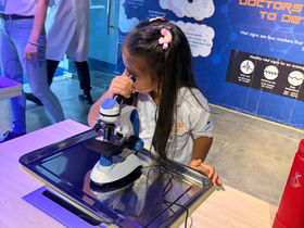 Pre-Primary Sea Turtles & Big Foxes Visit MindSpark Museum