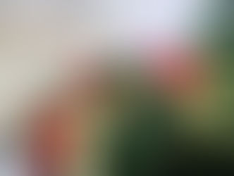 Lighting of the Adventskranz at GESM