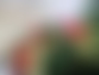 Lighting of the Adventskranz at GESM