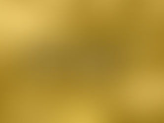 IB students to lead University Fair 2020