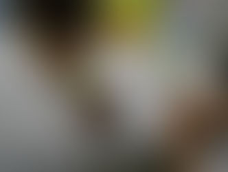 Lesenacht = Reading Night 2024