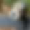 Thumbnail: Ring Spotlight Cam Plus (2022) Birdhouse-Style Camera Housing