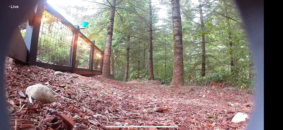 Thumbnail: Arlo Go 2 Camera Housing – Realistic Fake Rock Outdoor Cover