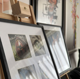 Framed pastel paintings displayed in an artist's studio, featuring soft textures and realistic details. The artworks are arranged neatly against a white wall, with natural light highlighting their colors and craftsmanship.