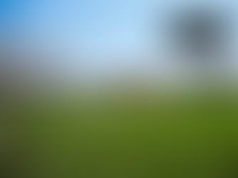 New Locally-Owned Restaurant Coming To The Steel District