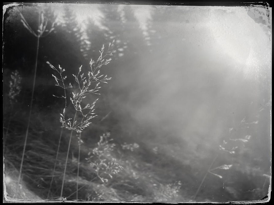 Outdoors2.jpeg