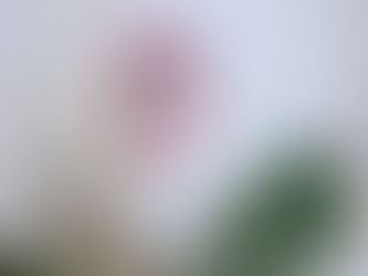 花粉シーズンの肌荒れ、諦めていませんか？