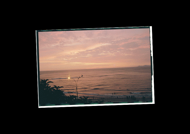 imatge1_TFG_9c31e759daa4ce6187a476131e22ce22.gif
