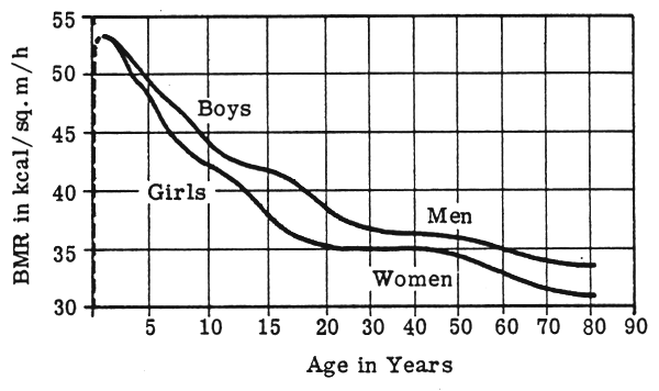 BMR by year.gif