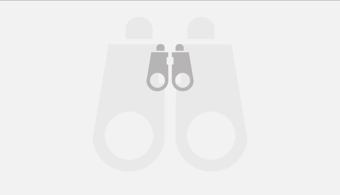 binocular-web-3.gif