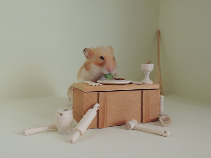 niko dining 2.jpg BEWERKT.jpg